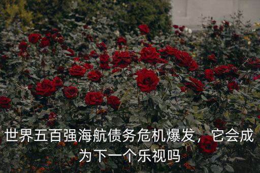世界五百強(qiáng)海航債務(wù)危機(jī)爆發(fā)，它會(huì)成為下一個(gè)樂視嗎