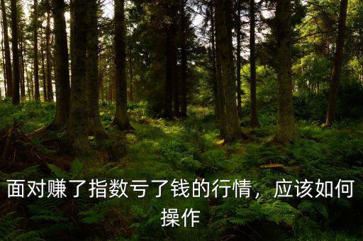 面對(duì)賺了指數(shù)虧了錢(qián)的行情，應(yīng)該如何操作