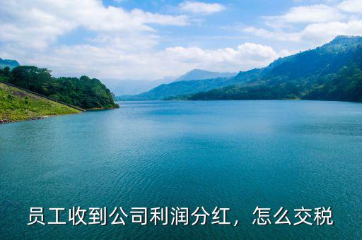 員工收到公司利潤(rùn)分紅，怎么交稅