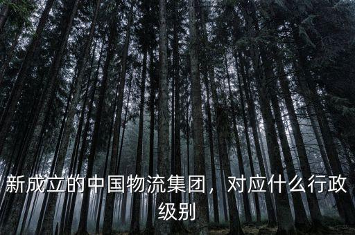 新成立的中國物流集團，對應(yīng)什么行政級別
