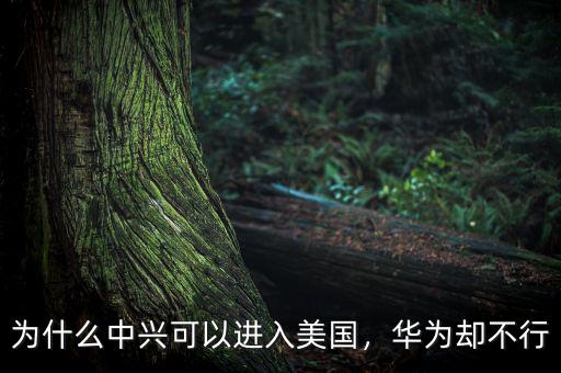 為什么中興可以進(jìn)入美國(guó)，華為卻不行