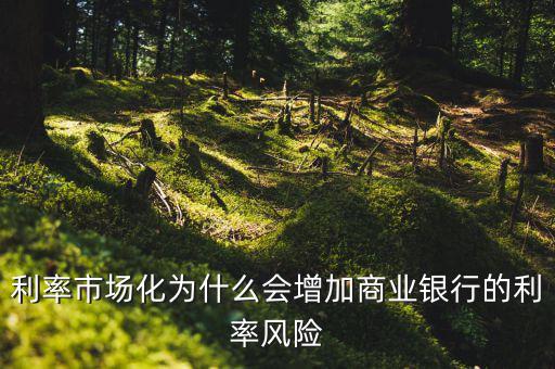 中國利率市場化可能產(chǎn)生的影響是什么,銀行和個(gè)人的影響分別是什么