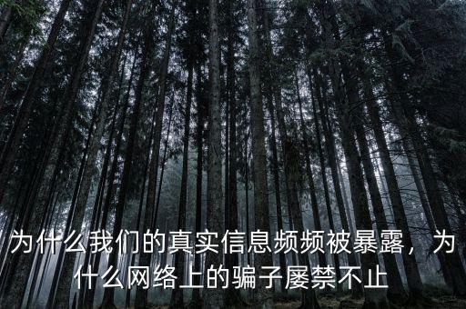 為什么我們的真實信息頻頻被暴露，為什么網(wǎng)絡(luò)上的騙子屢禁不止