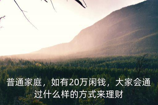 普通家庭，如有20萬(wàn)閑錢，大家會(huì)通過(guò)什么樣的方式來(lái)理財(cái)