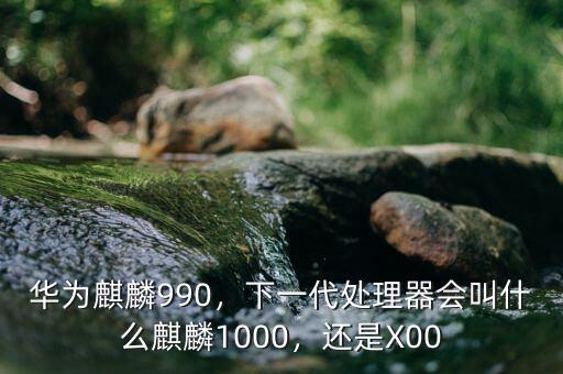 華為麒麟990，下一代處理器會(huì)叫什么麒麟1000，還是X00