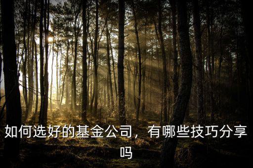 如何選好的基金公司，有哪些技巧分享嗎