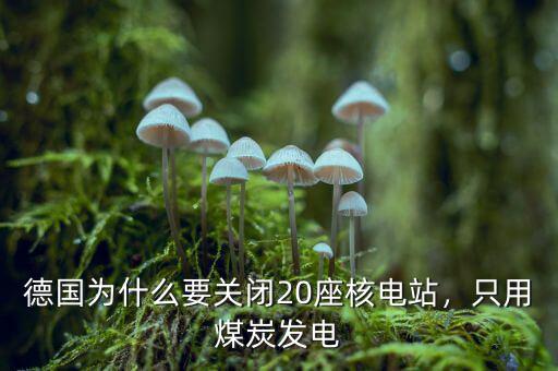德國為什么要關(guān)閉20座核電站，只用煤炭發(fā)電