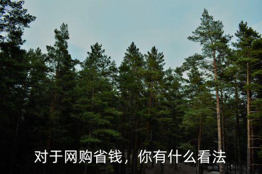 對(duì)于網(wǎng)購省錢，你有什么看法