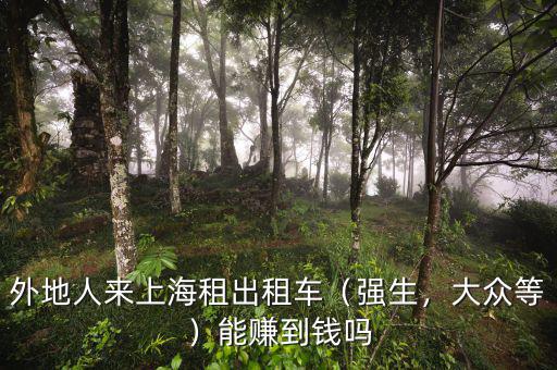 外地人來上海租出租車（強生，大眾等）能賺到錢嗎