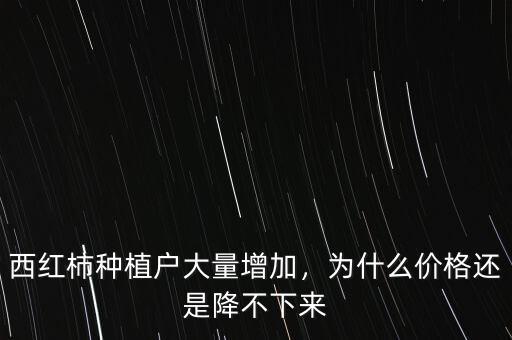 西紅柿種植戶大量增加，為什么價(jià)格還是降不下來
