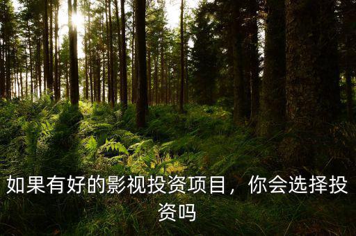 如果有好的影視投資項(xiàng)目，你會(huì)選擇投資嗎