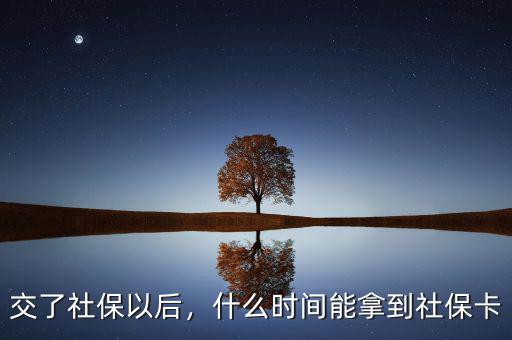 交了社保以后，什么時間能拿到社保卡