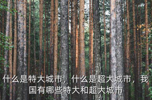 什么是特大城市，什么是超大城市，我國有哪些特大和超大城市