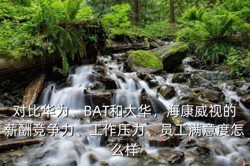 桐廬?？低曉趺礃?員工滿意度怎么樣