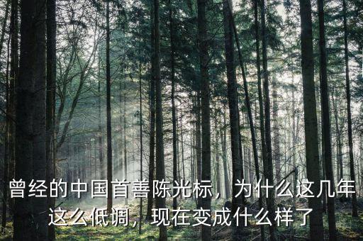 曾經(jīng)的中國(guó)首善陳光標(biāo)，為什么這幾年這么低調(diào)，現(xiàn)在變成什么樣了