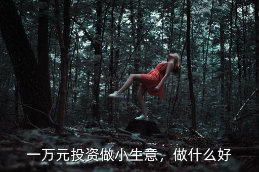 一萬元投資做小生意，做什么好