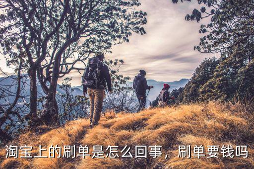 淘寶上的刷單是怎么回事，刷單要錢(qián)嗎