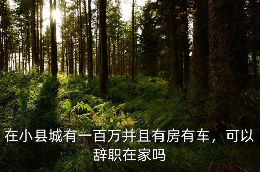 在小縣城有一百萬并且有房有車，可以辭職在家嗎