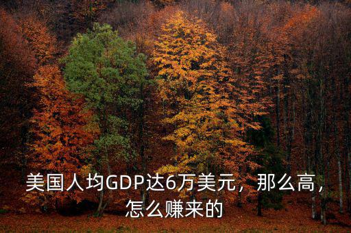 美國人均GDP達(dá)6萬美元，那么高，怎么賺來的