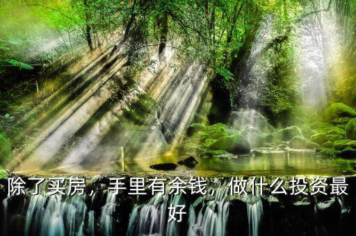 除了買房，手里有余錢，做什么投資最好