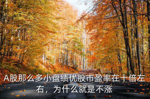 A股那么多小盤(pán)績(jī)優(yōu)股市盈率在十倍左右，為什么就是不漲