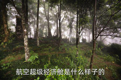 航空超級經濟艙是什么樣子的