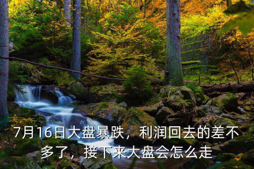 7月16日大盤暴跌，利潤回去的差不多了，接下來大盤會怎么走