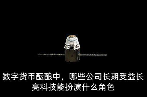 數(shù)字貨幣醞釀中，哪些公司長期受益長亮科技能扮演什么角色