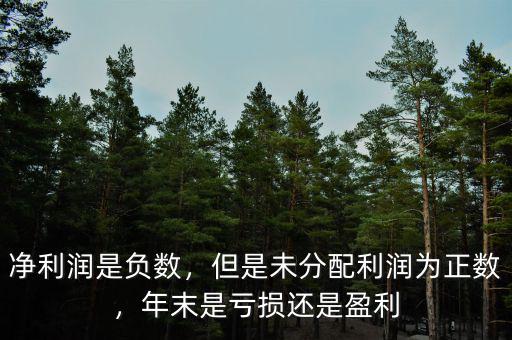 凈利潤(rùn)是負(fù)數(shù)，但是未分配利潤(rùn)為正數(shù)，年末是虧損還是盈利