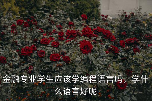 金融專業(yè)學(xué)生應(yīng)該學(xué)編程語言嗎，學(xué)什么語言好呢