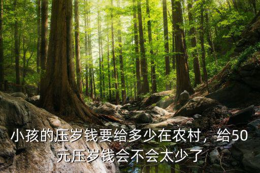 小孩的壓歲錢要給多少在農(nóng)村，給50元壓歲錢會不會太少了