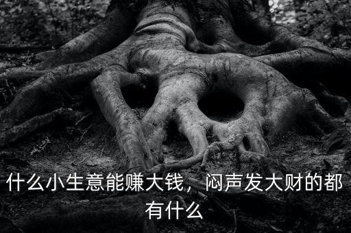 什么小生意能賺大錢，悶聲發(fā)大財(cái)?shù)亩加惺裁? class=