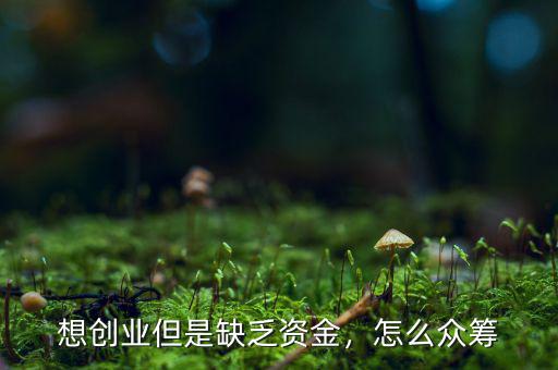 想創(chuàng)業(yè)但是缺乏資金，怎么眾籌