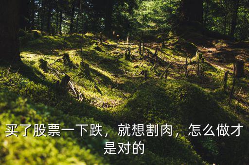 買了股票一下跌，就想割肉，怎么做才是對(duì)的