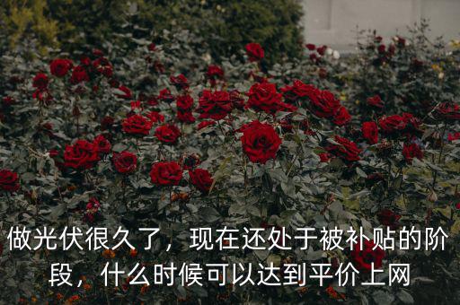 做光伏很久了，現(xiàn)在還處于被補(bǔ)貼的階段，什么時(shí)候可以達(dá)到平價(jià)上網(wǎng)