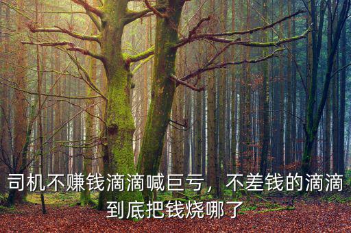 司機(jī)不賺錢(qián)滴滴喊巨虧，不差錢(qián)的滴滴到底把錢(qián)燒哪了