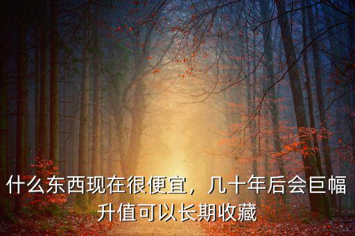 什么東西現(xiàn)在很便宜，幾十年后會(huì)巨幅升值可以長(zhǎng)期收藏