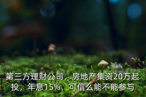 第三方理財(cái)公司，房地產(chǎn)集資20萬起投，年息15%，可信么能不能參與
