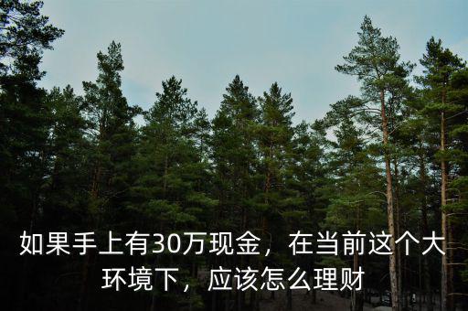 如果手上有30萬現(xiàn)金，在當前這個大環(huán)境下，應(yīng)該怎么理財
