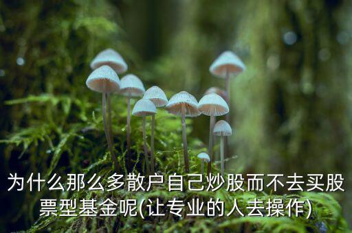 為什么那么多散戶自己炒股而不去買(mǎi)股票型基金呢(讓專業(yè)的人去操作)