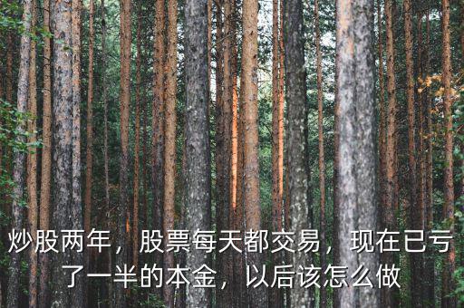 炒股兩年，股票每天都交易，現(xiàn)在已虧了一半的本金，以后該怎么做