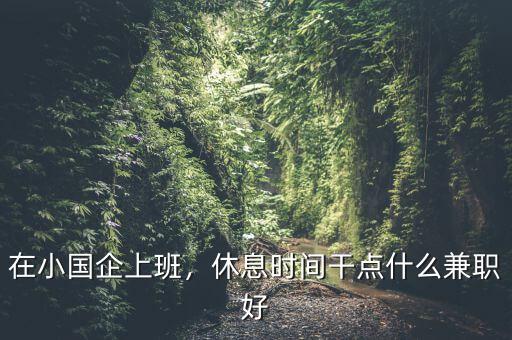 在小國企上班，休息時間干點什么兼職好