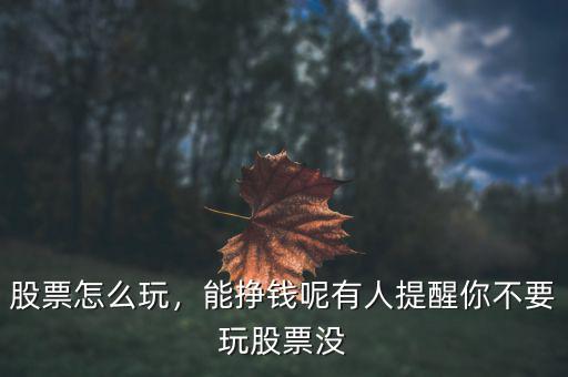 股票怎么玩，能掙錢呢有人提醒你不要玩股票沒