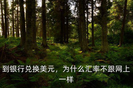 到銀行兌換美元，為什么匯率不跟網(wǎng)上一樣