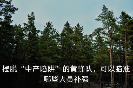 擺脫“中產(chǎn)陷阱”的黃蜂隊，可以瞄準哪些人員補強