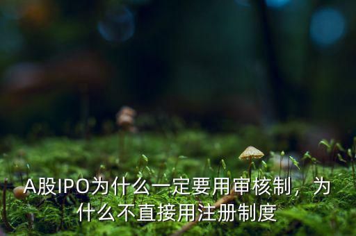 A股IPO為什么一定要用審核制，為什么不直接用注冊(cè)制度