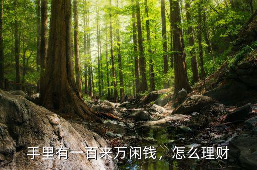 手里有一百來(lái)萬(wàn)閑錢，怎么理財(cái)