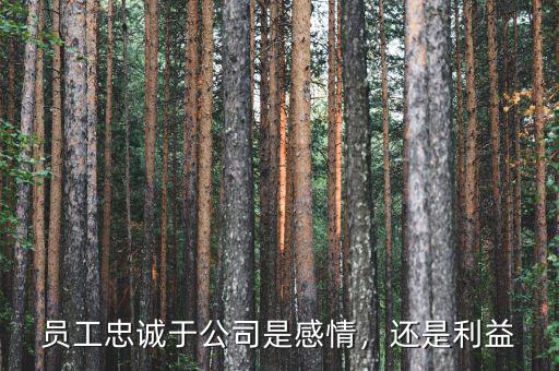 員工忠誠(chéng)于公司是感情，還是利益