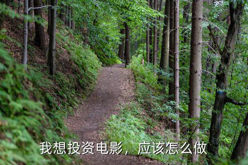 我想投資電影，應(yīng)該怎么做
