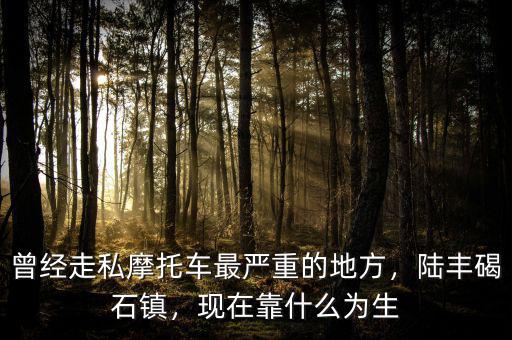 曾經(jīng)走私摩托車最嚴(yán)重的地方，陸豐碣石鎮(zhèn)，現(xiàn)在靠什么為生